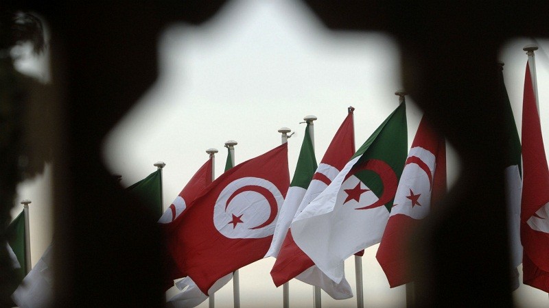 Tunisia, Algeria sign 27 bilateral agreements