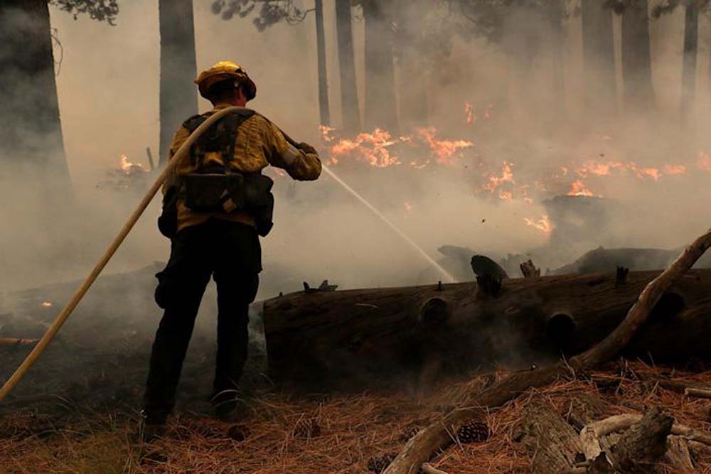 US wildfire: Father, son charged with starting huge California forest fire