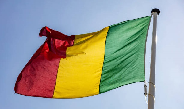 Mali’s ruler urges ECOWAS to reconsider ‘inhumane’ sanctions