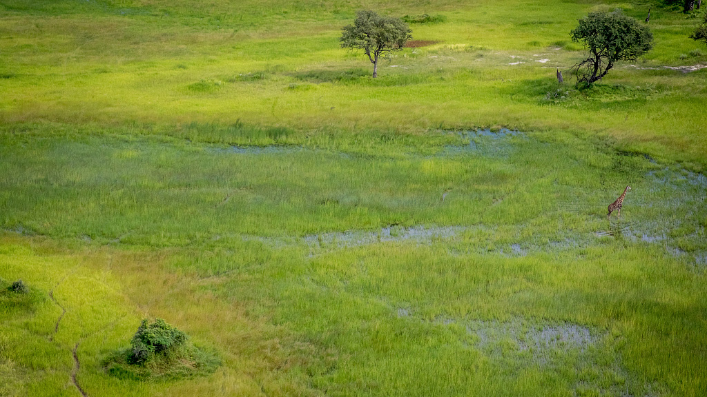 African lobby calls for wetlands protection to boost climate resilience