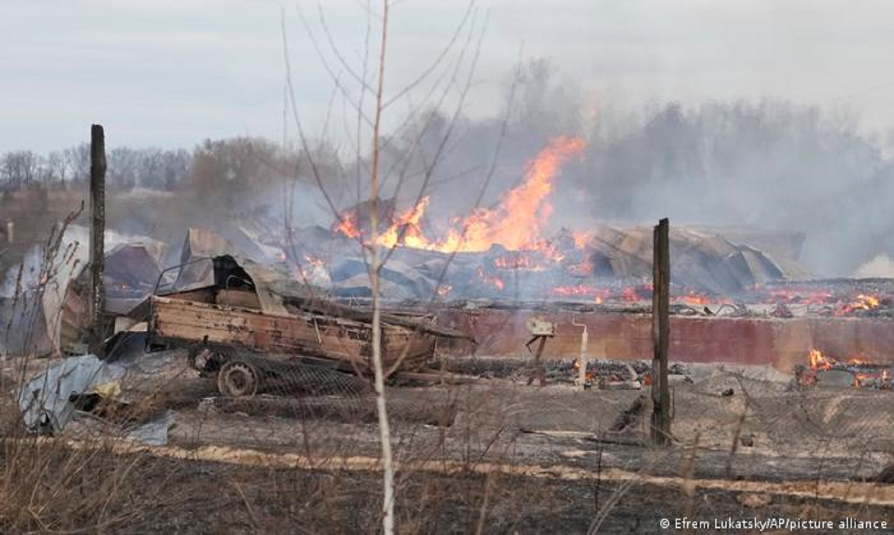 Russia Almost Completely Destroy Ukrainian Military Infrastructure: Putin