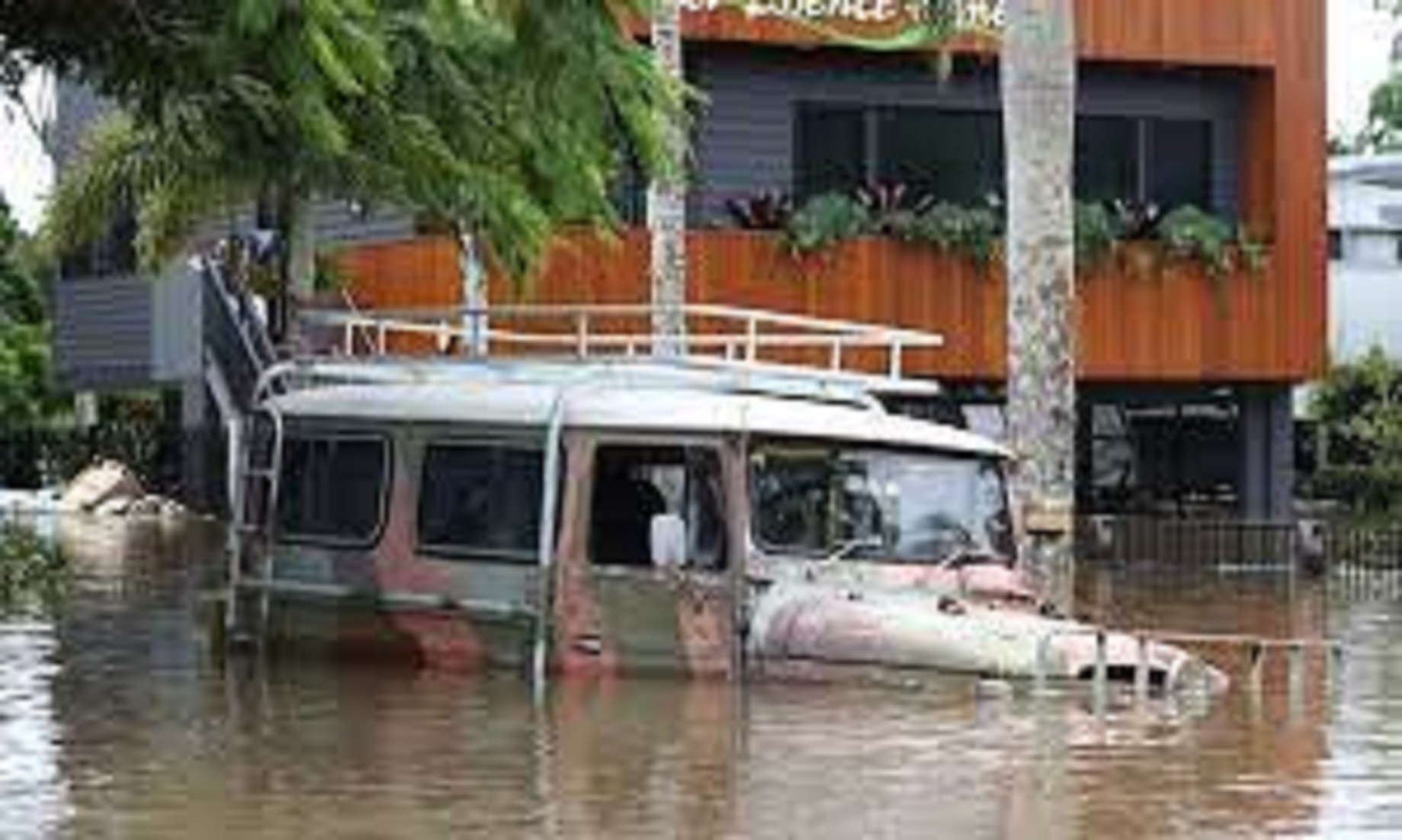 Australian Floods Could Cause Japanese Encephalitis Surge: Experts