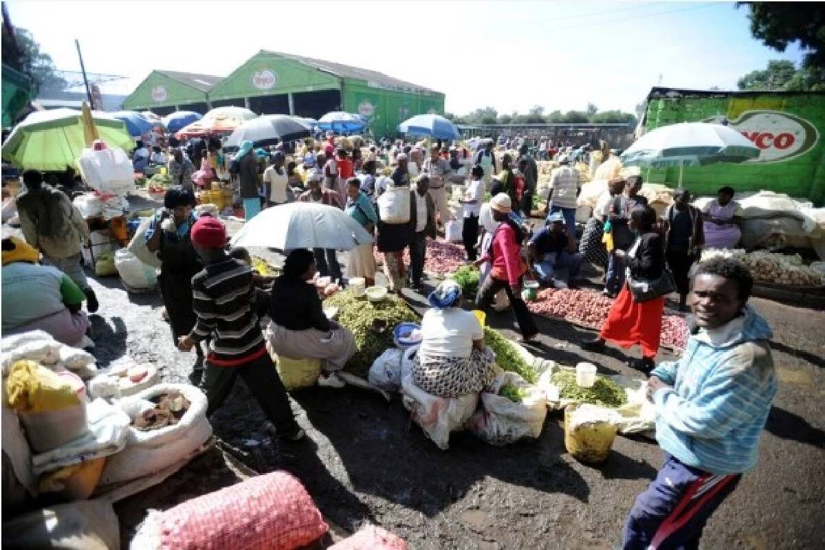 Wheat price up 60% in Africa due to Russia-Ukraine conflict: AfDB