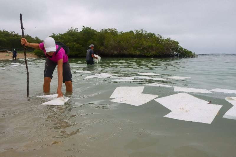 No ‘significant’ harm from Galapagos diesel spill: Reserve