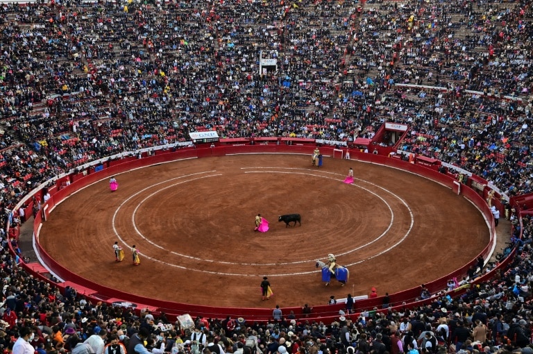 Mexican judge suspends bullfights in world’s largest ring