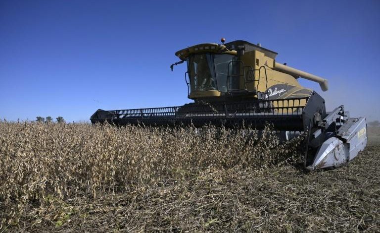 Russia-Ukraine conflict: Soy boon for Argentina as war boosts prices