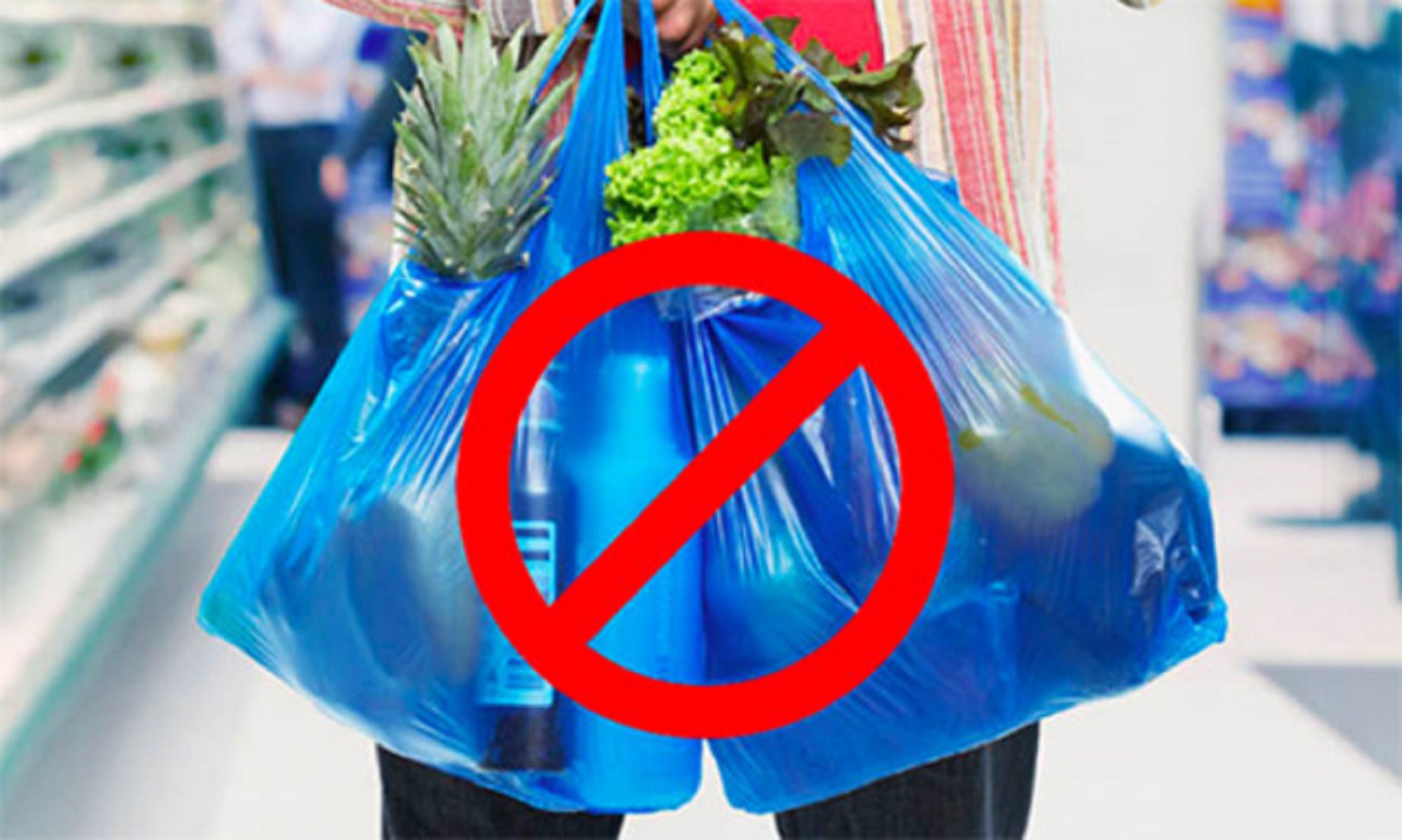 Vietnam To Ban Plastic Bags By 2030