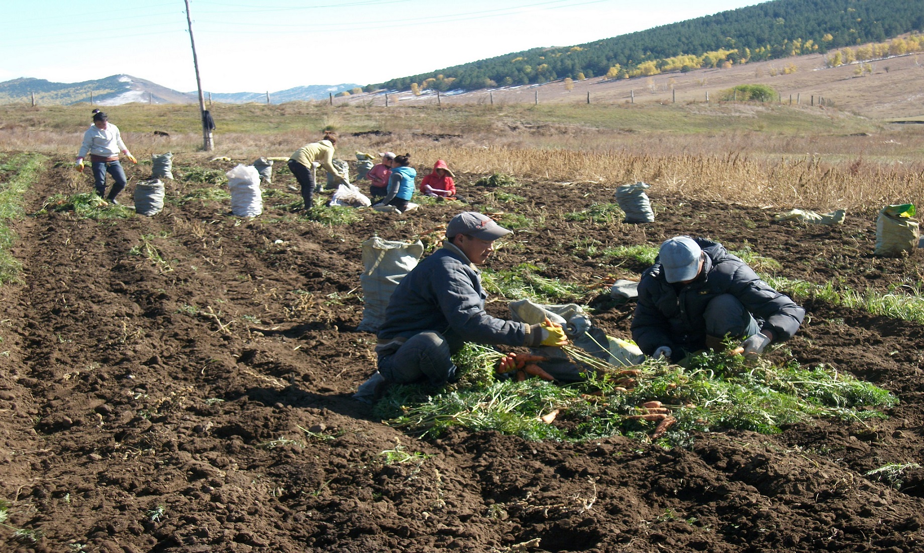 Mongolian President Calls For Efforts To Secure Food Supply, Security