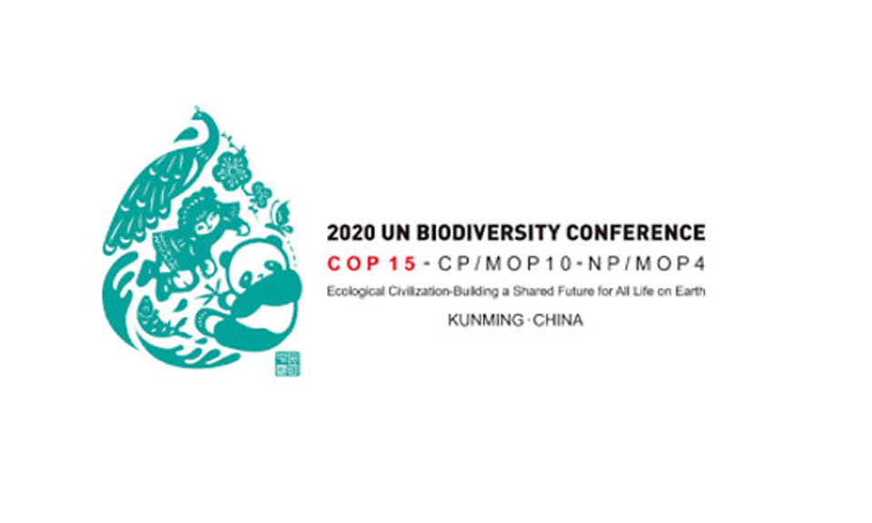 COP15: Montreal to replace Kunming for hosting UN Biodiversity Summit in December