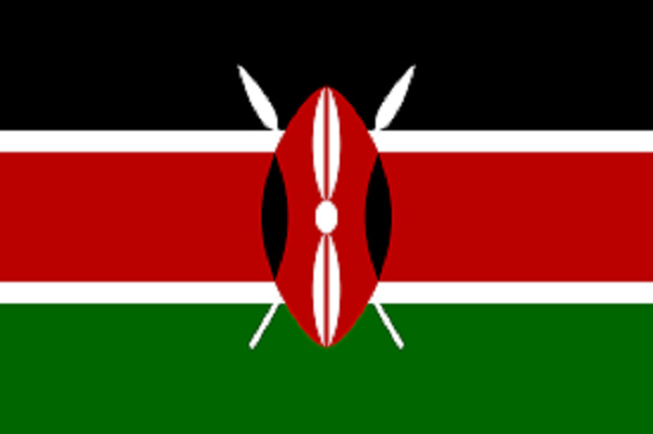Kenya drops from list of top 10 suppliers of UN agencies, US maintain top supplier
