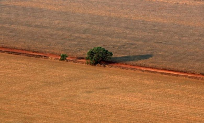 Brazil’s Abiove welcomes agreement to export soymeal to China