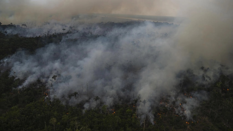 Brazil sets new six-month Amazon deforestation record