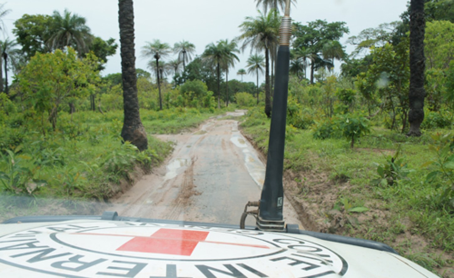 Nigeria: Whereabouts of 14,000 children in Nigeria unknown, says ICRC