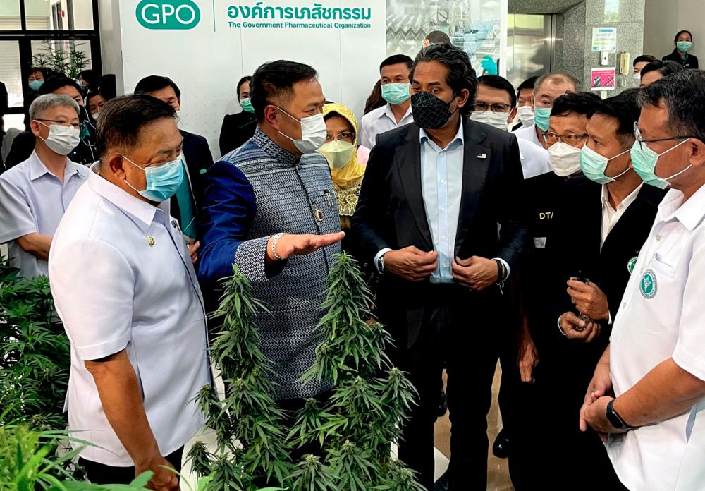 Malaysia keen to learn from Thailand evidence-based use of medical cannabis products