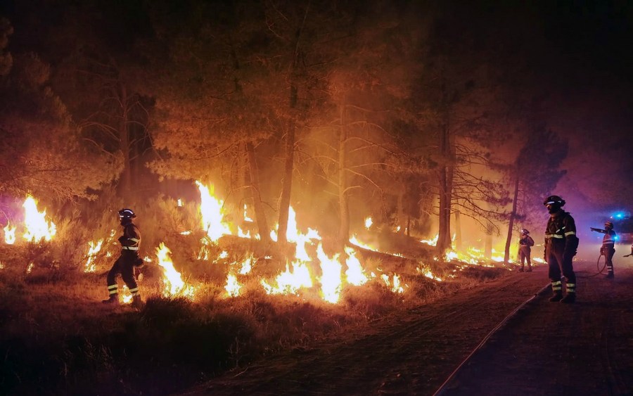 Heatwaves: Over 4,000 hectares of land destroyed in wildfires in northwestern Spain