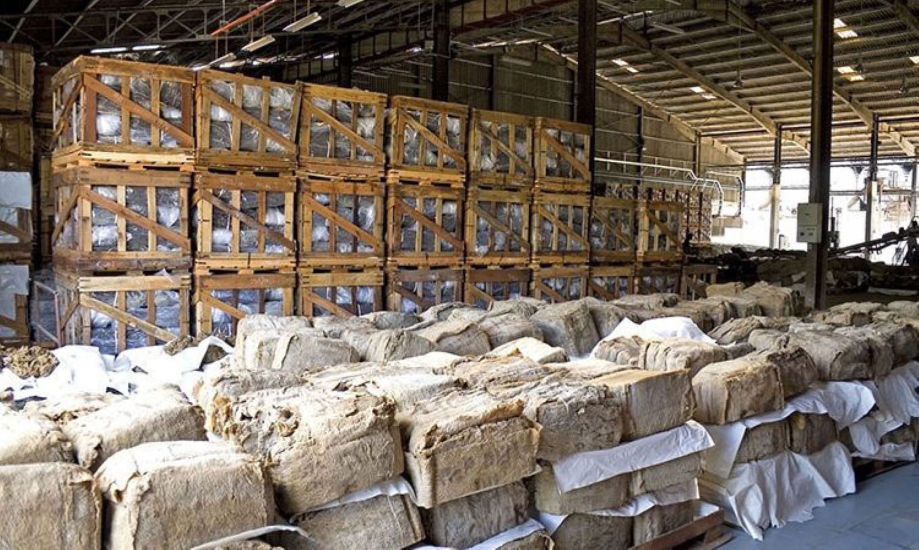 Cambodia Exported Rubber Worth Almost 255 Million USD In Seven Months Of 2022