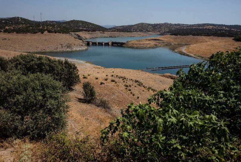Heatwaves: Drought forces water use rethink in Spain