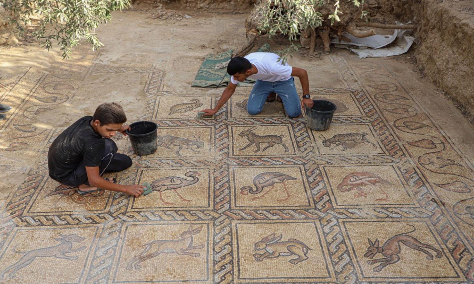 Rare Byzantine-Era Mosaic Floor Discovered In Gaza