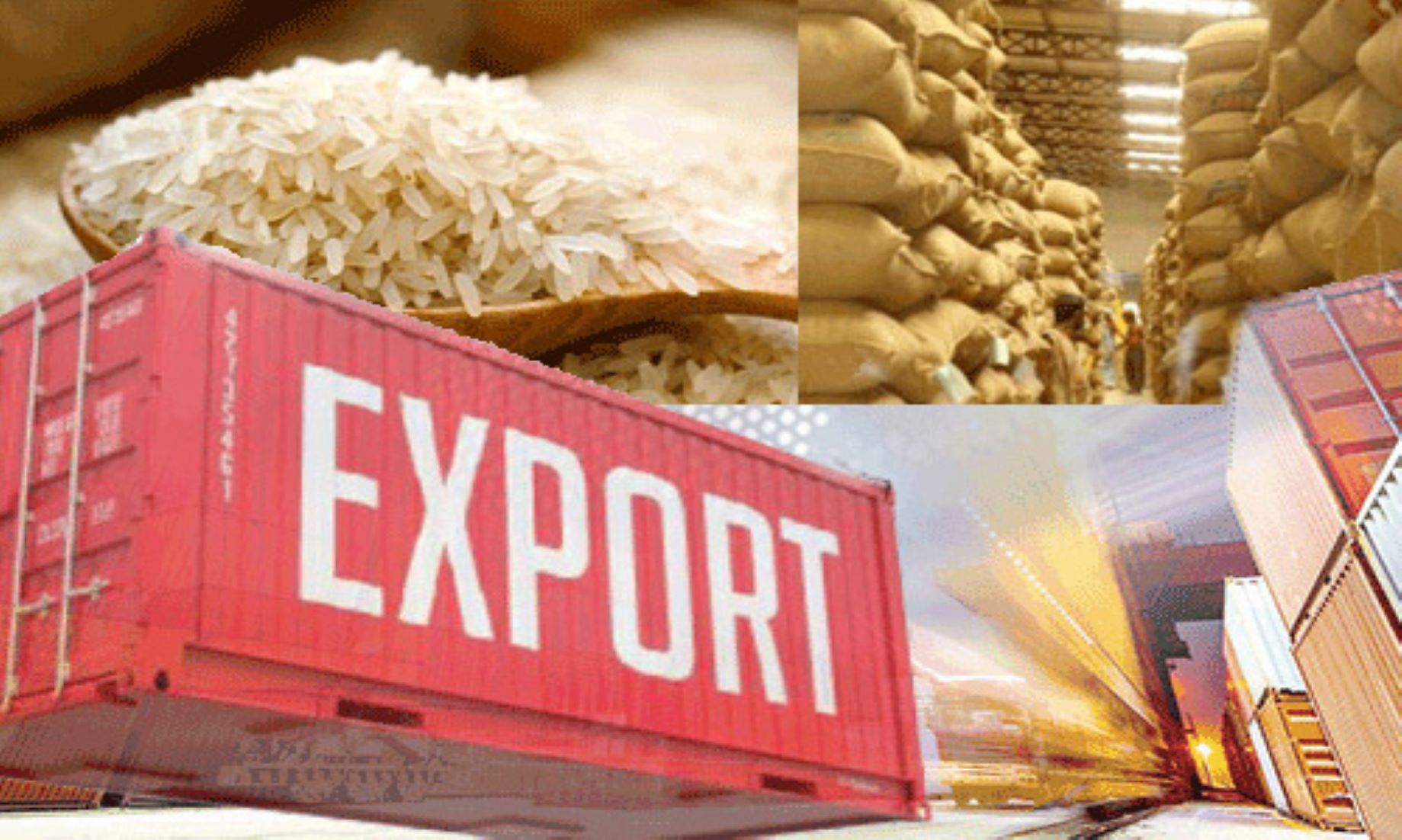 India Imposes Export Duty On Rice