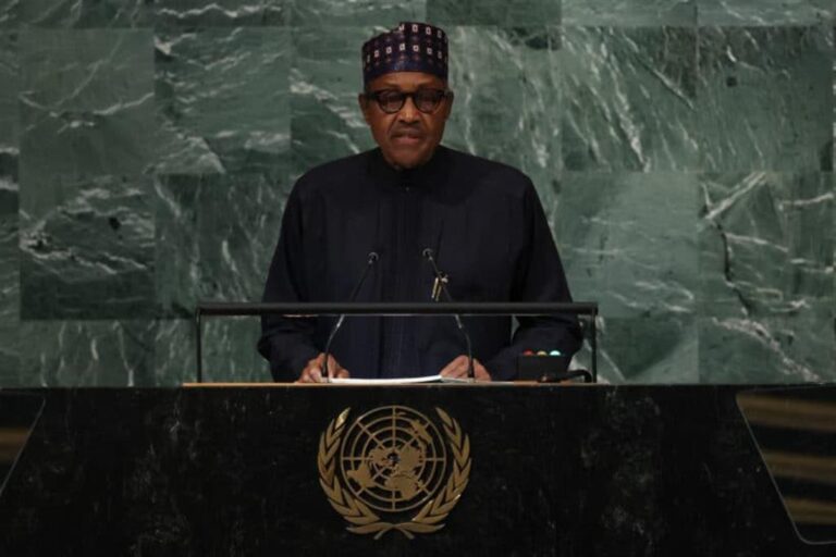 UN: Nigerian president calls on the world         body to solve conflicts
