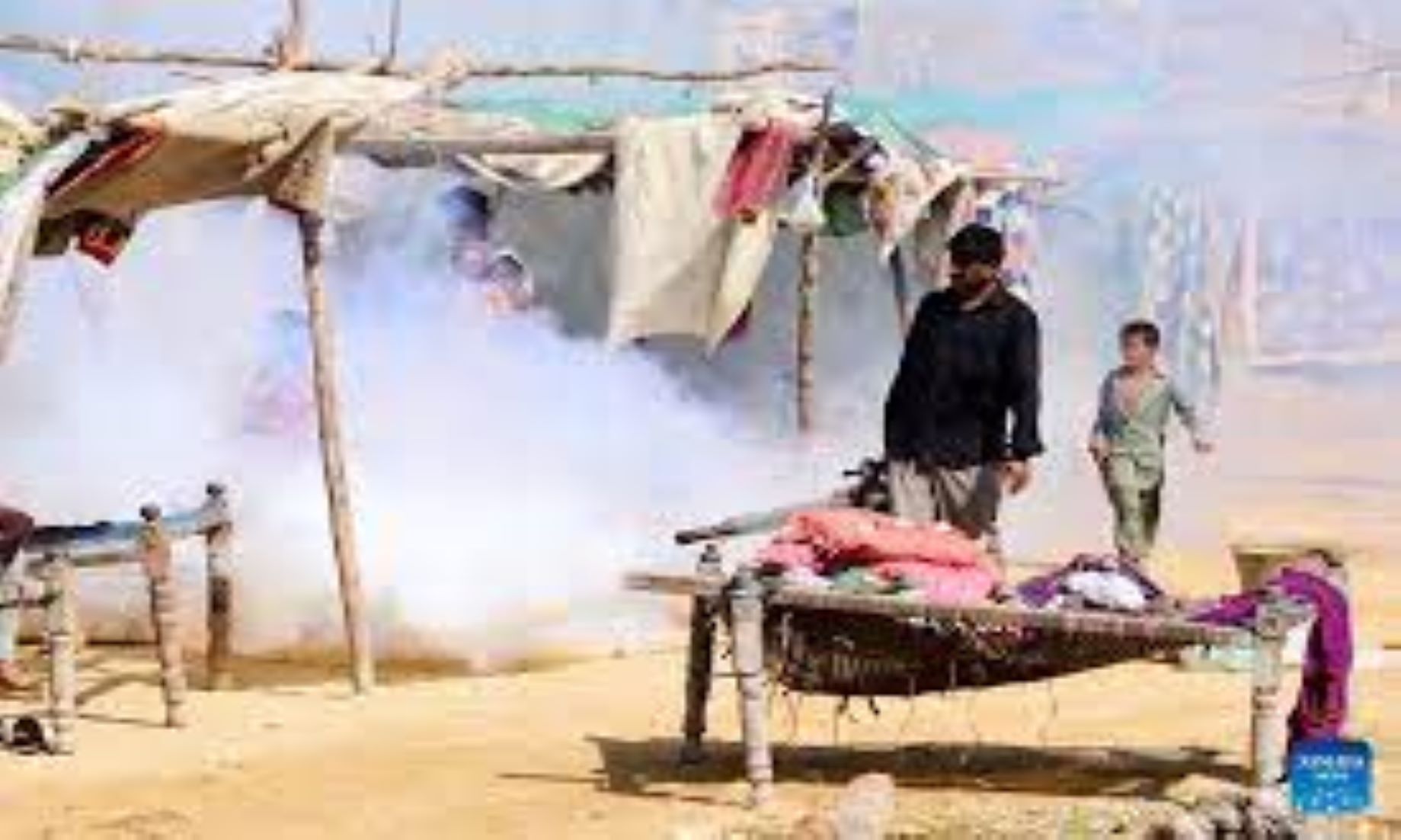 27 Killed In Southern Pakistan As Spread Of Dengue Intensified