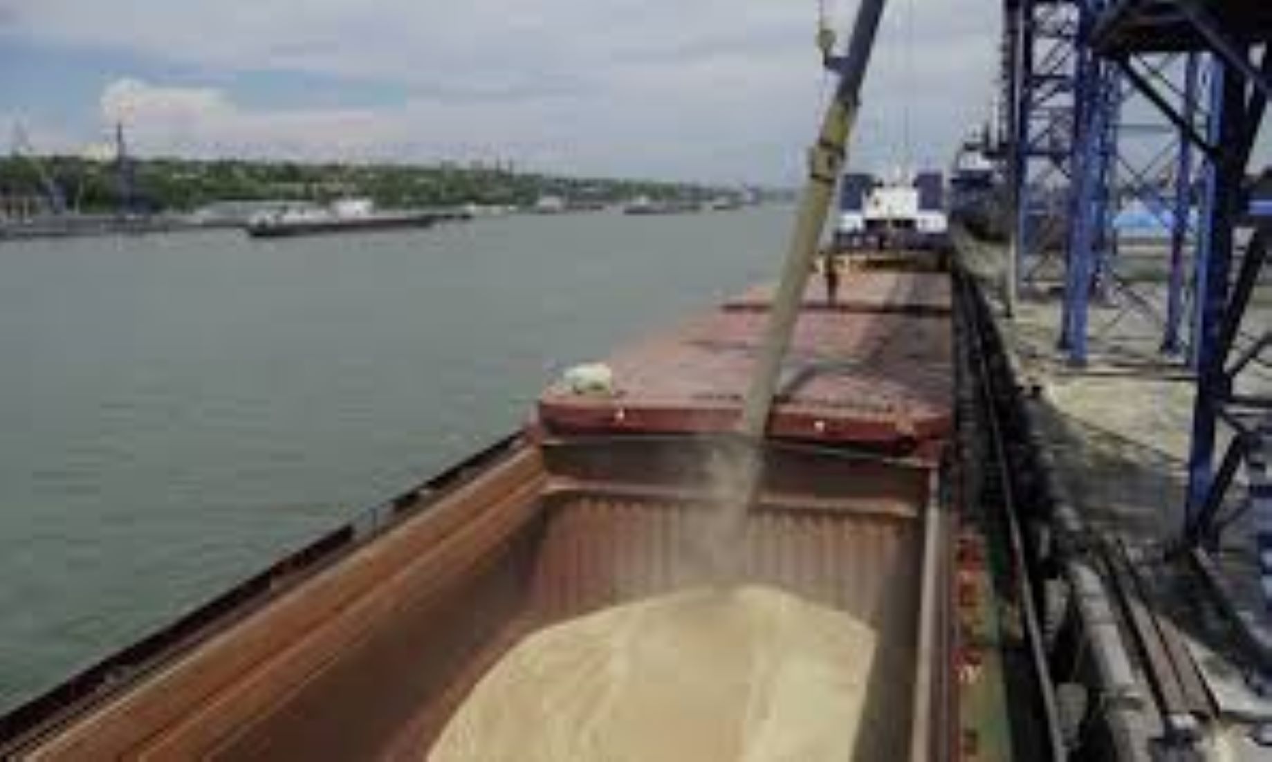 Turkish President Called For Shipping Russian Grains, Fertilisers Via Grain Corridor