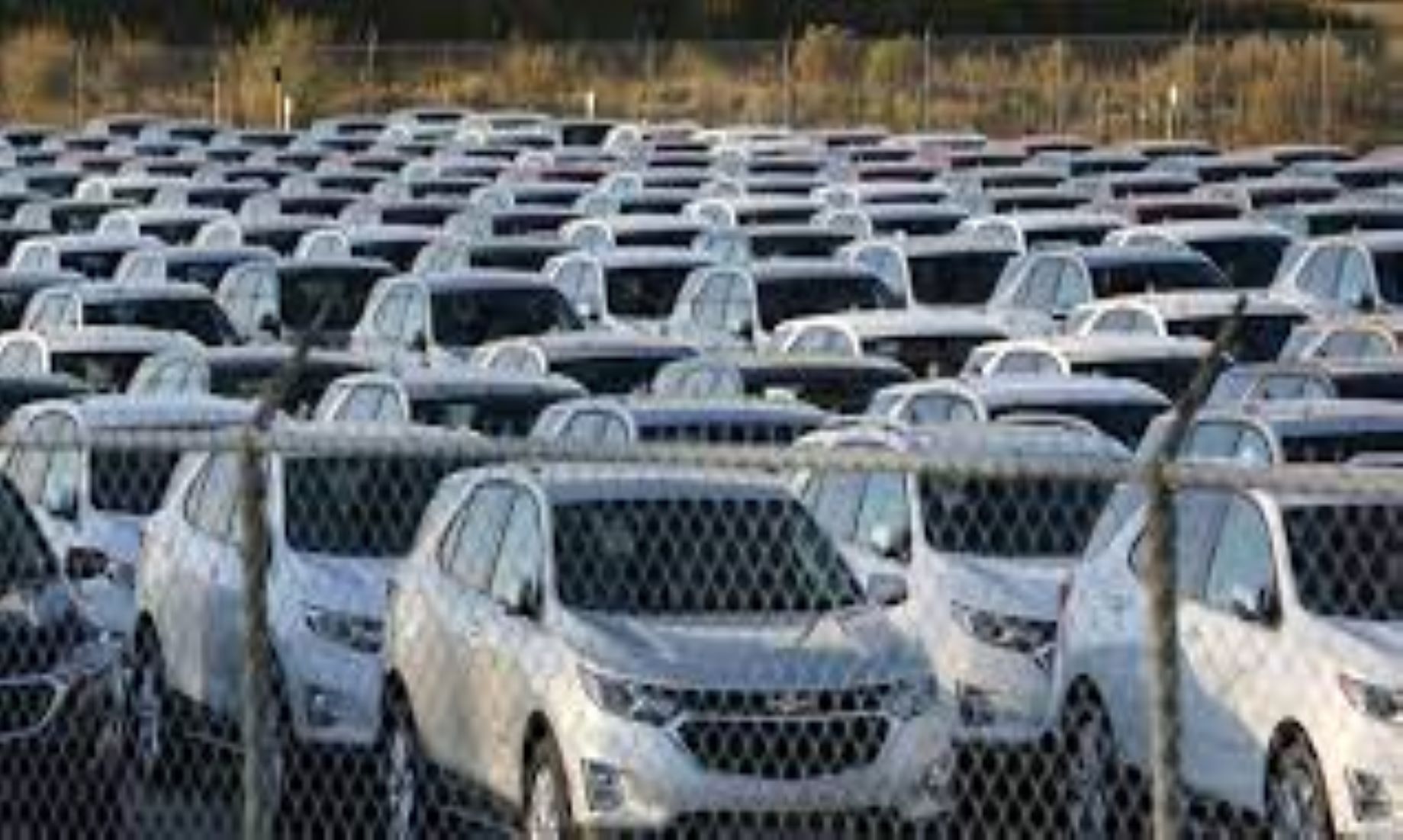 Brazil’s Vehicle Output Up 43.9 Percent In Aug