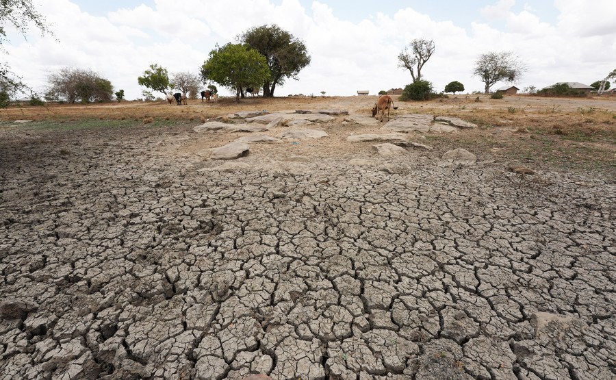 Feature: Africa urges climate actions rather than broken promises, double standard