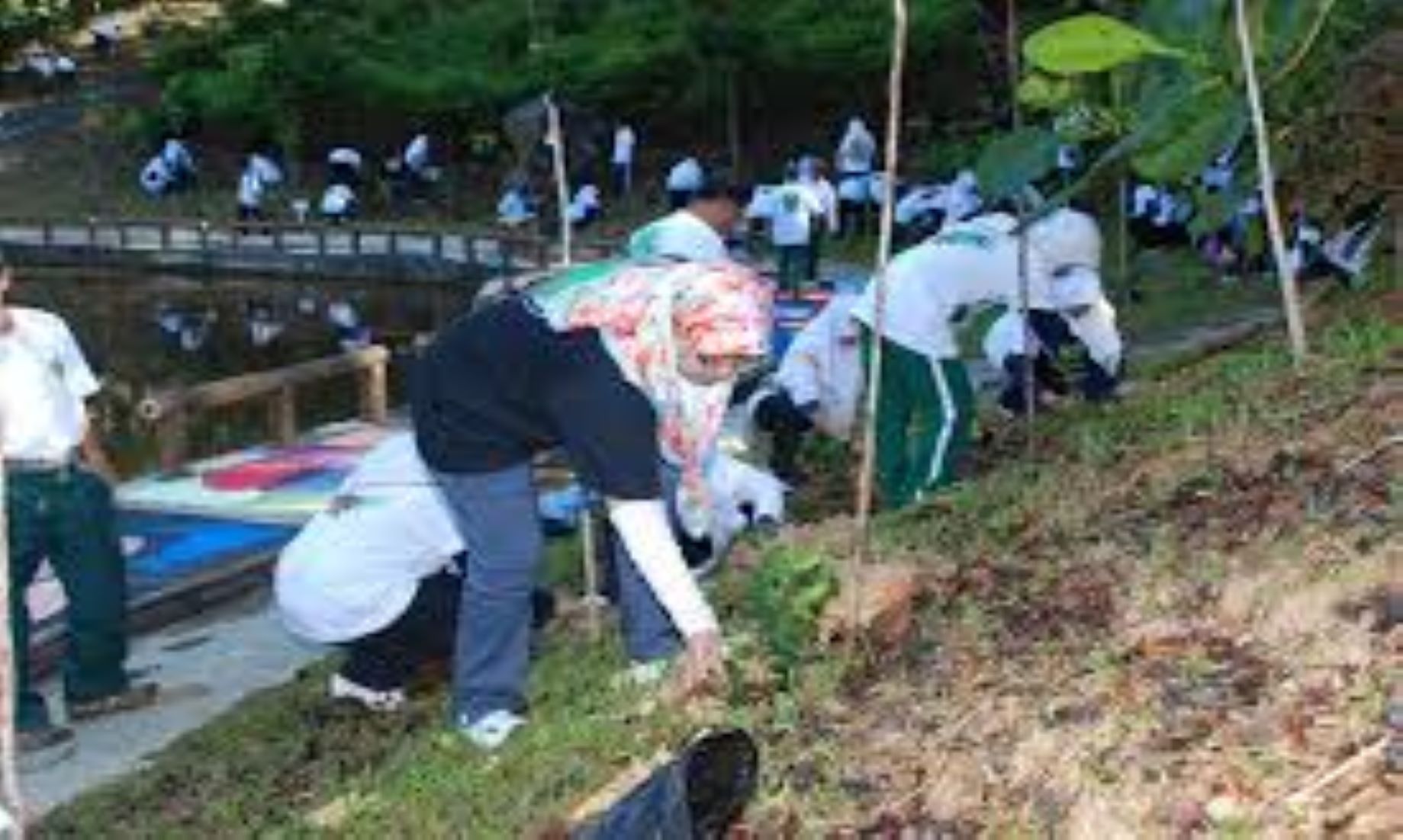 Brunei-China Joint Venture Planted Trees To Protect Local Environment