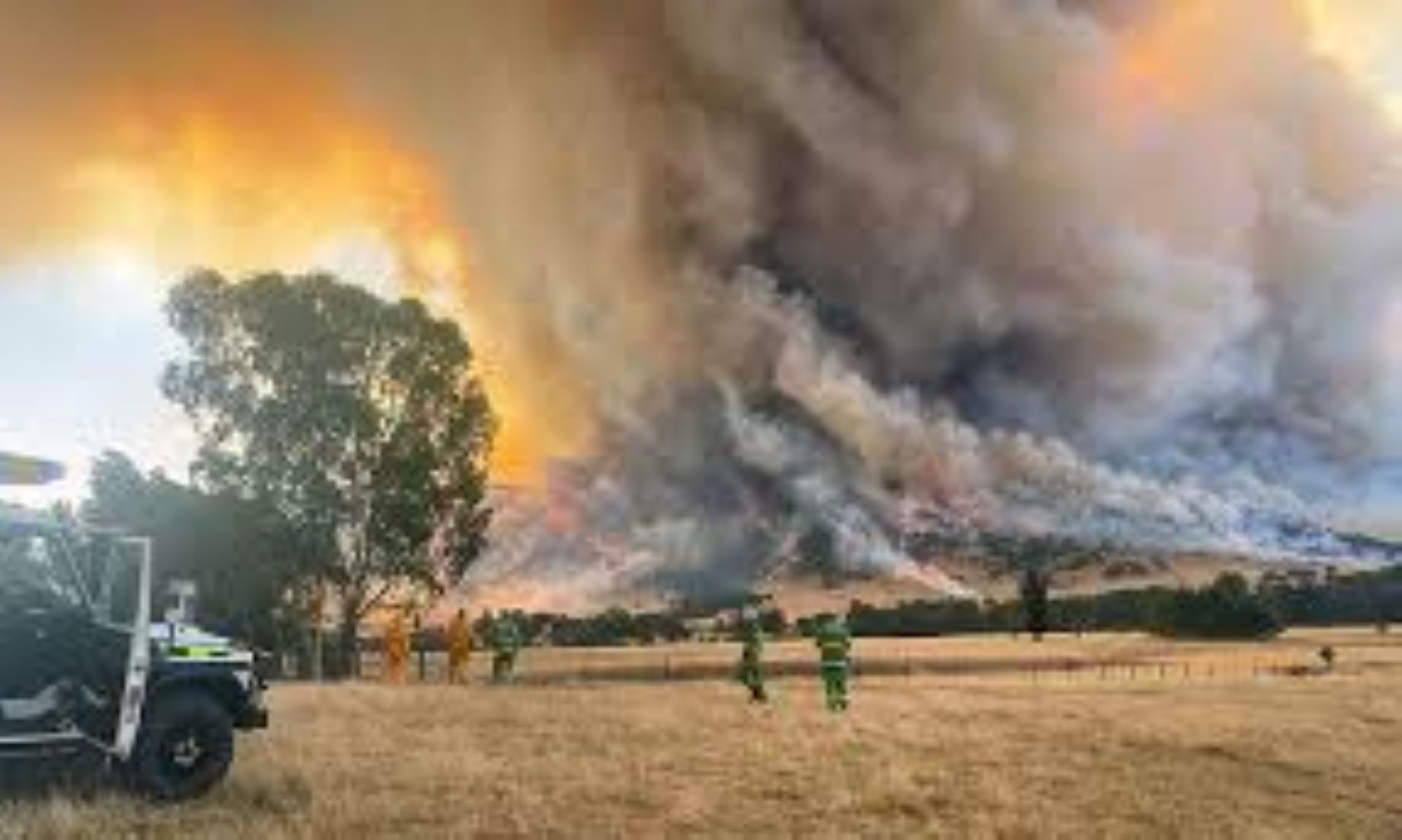 Australia’s Densely Populated States To See Above Normal Bushfire Potential This Summer