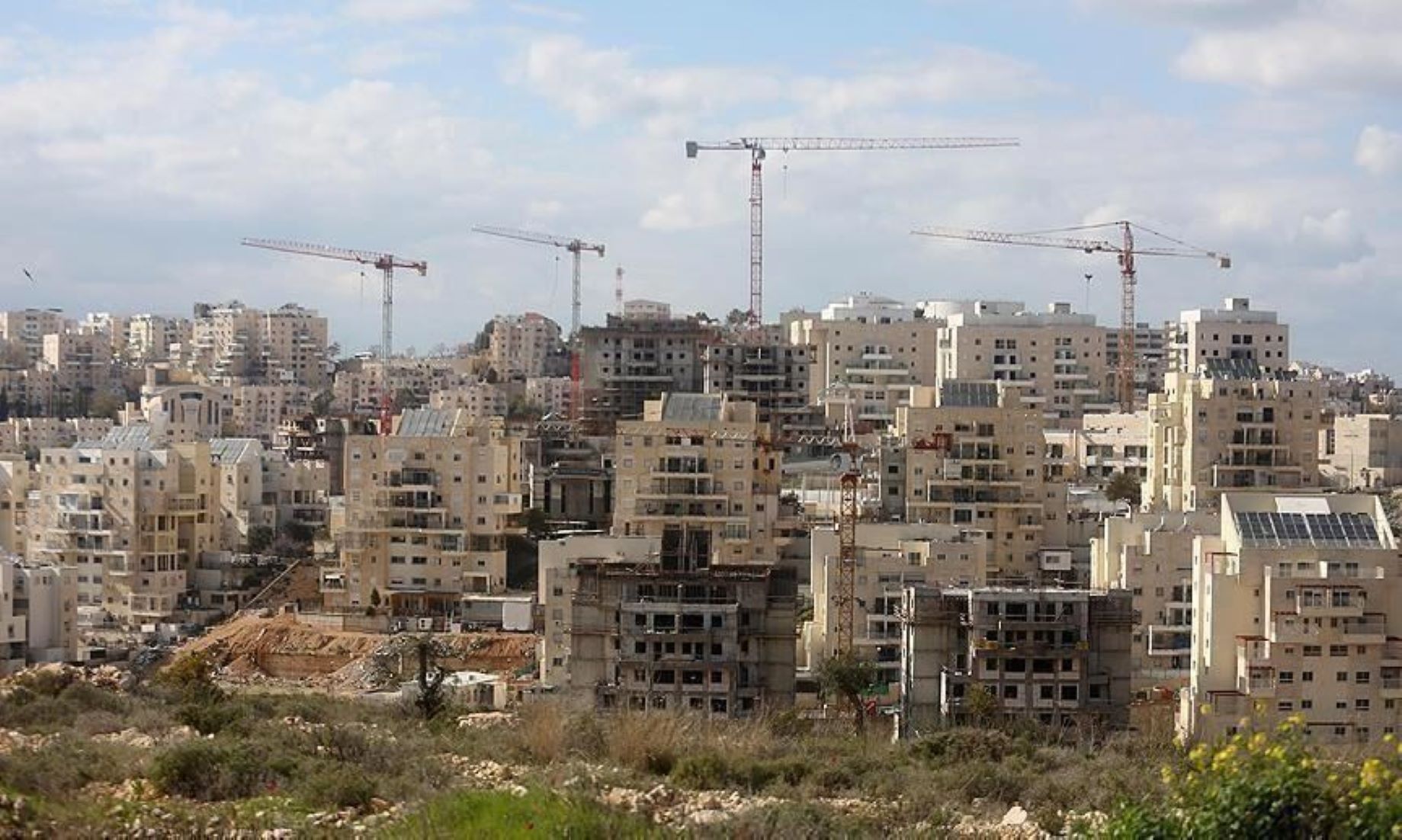 Palestine Welcomed UN Resolution Against Israeli Settlements
