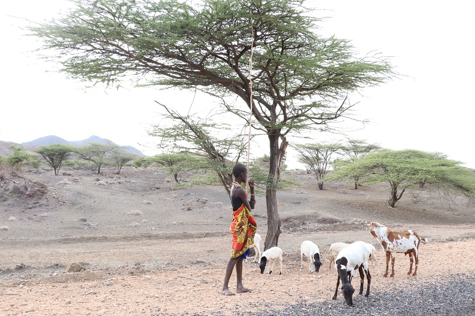 Kenya’s drought situation: 3.5 million children likely to miss out when schools reopen