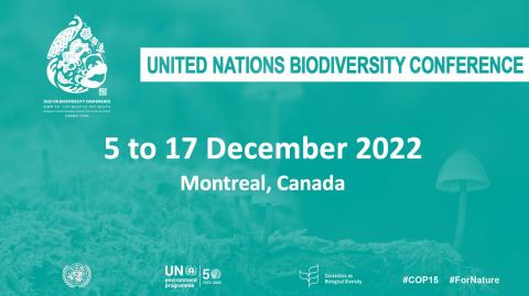 COP15: UN biodiversity summit kicks off in Montreal