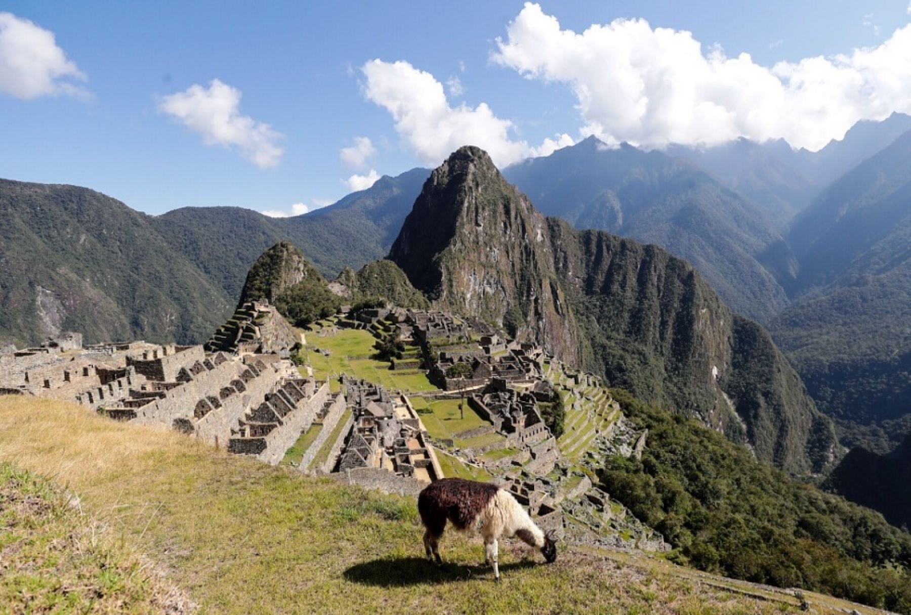 Peru unrest: Entry to famed tourist site Machu Picchu suspended until further notice