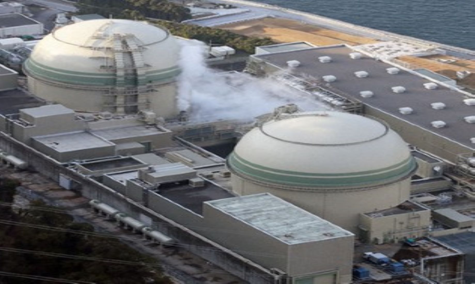 Japan’s Takahama Nuclear Reactor Halted After Alert Went Off