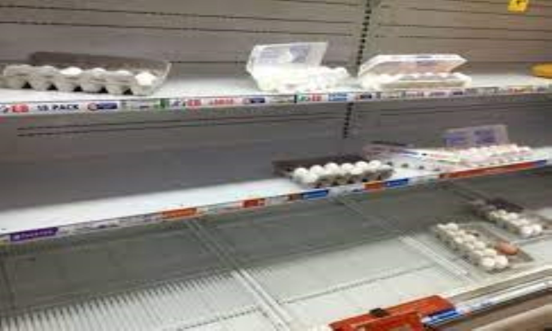 New Zealand Suffers Egg Supply Shortage