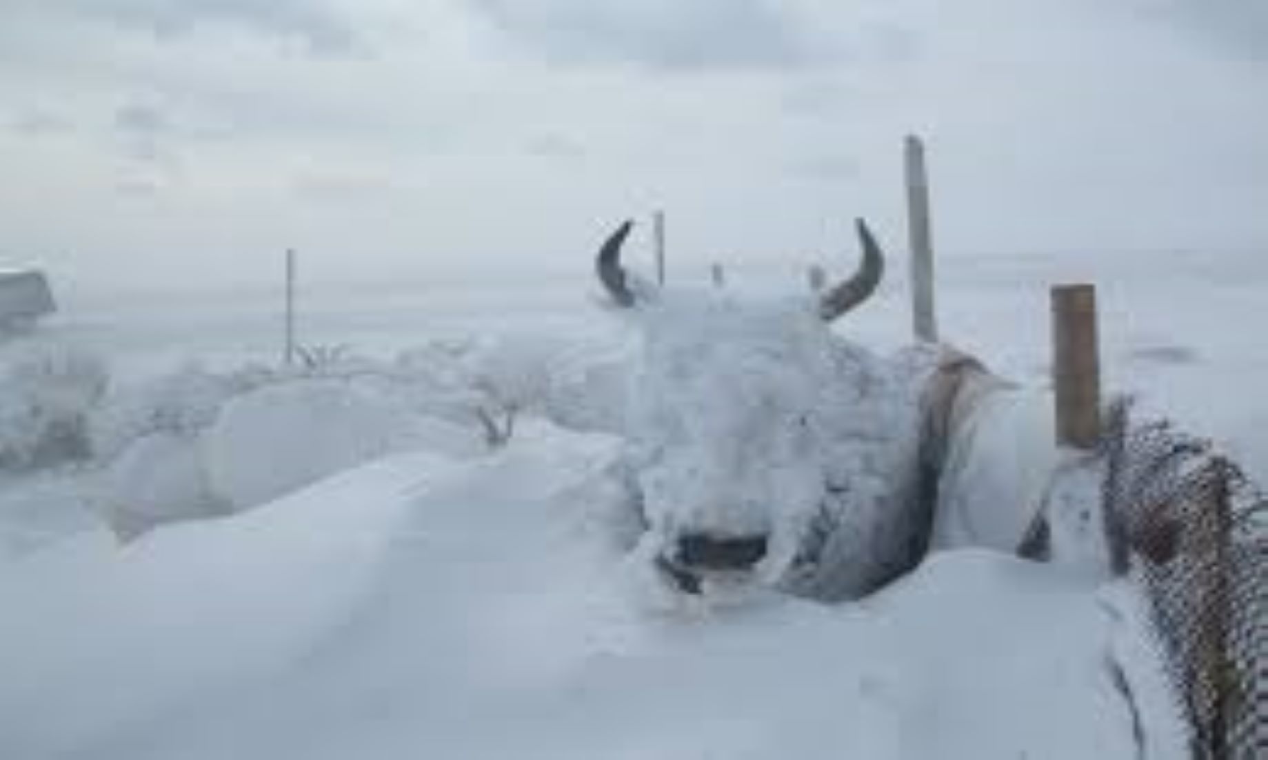 Mongolia Experiences Extreme Cold Weather