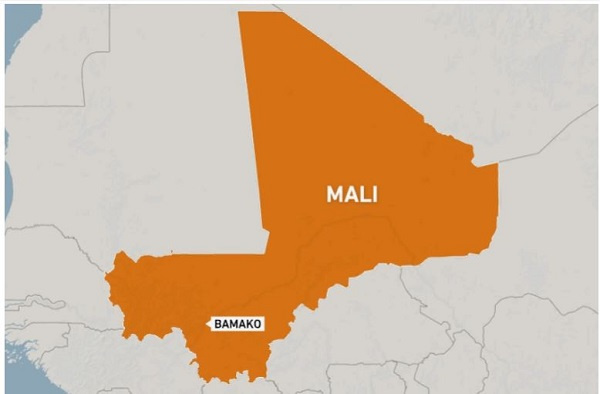 UN experts urge probe into possible war crimes in Mali by Wagner