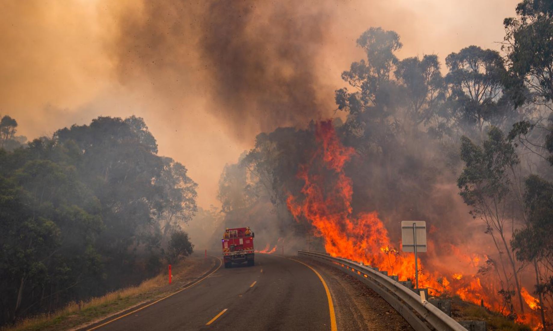 Fire Chiefs Warned Of Unprecedented Grass Fire Risk In Australia