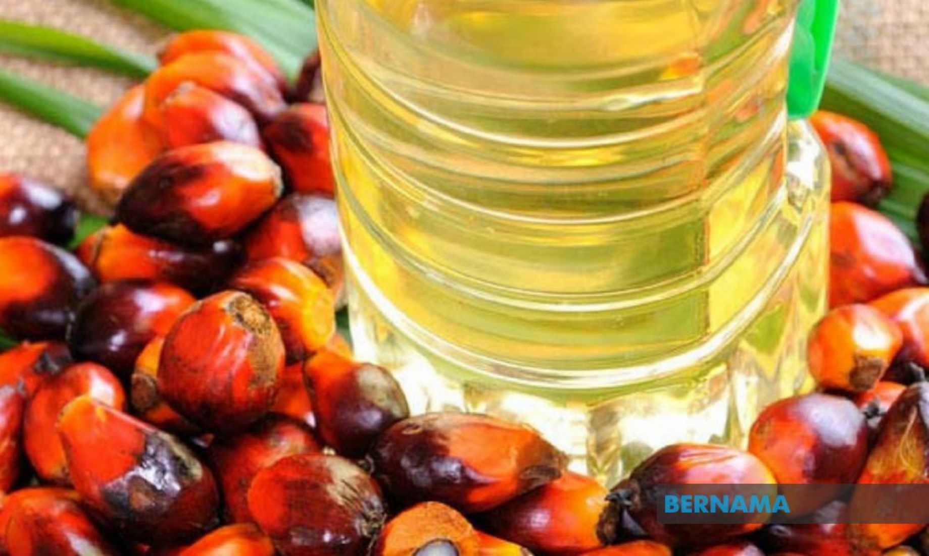 Analysts Expect Malaysia’s Crude Palm Oil Prices To Ease This Year