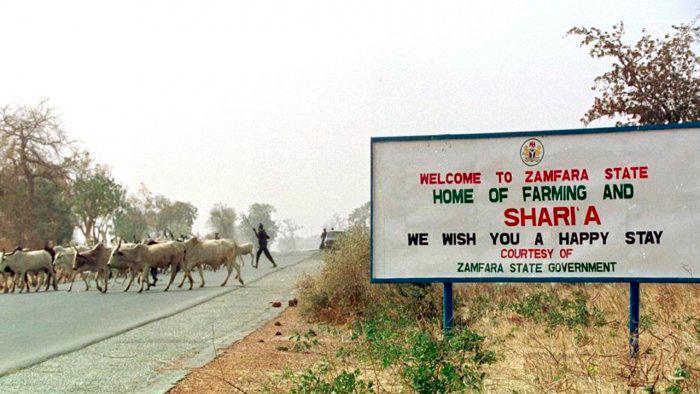 Cattle thieves kill 41 vigilantes in Nigeria’s north