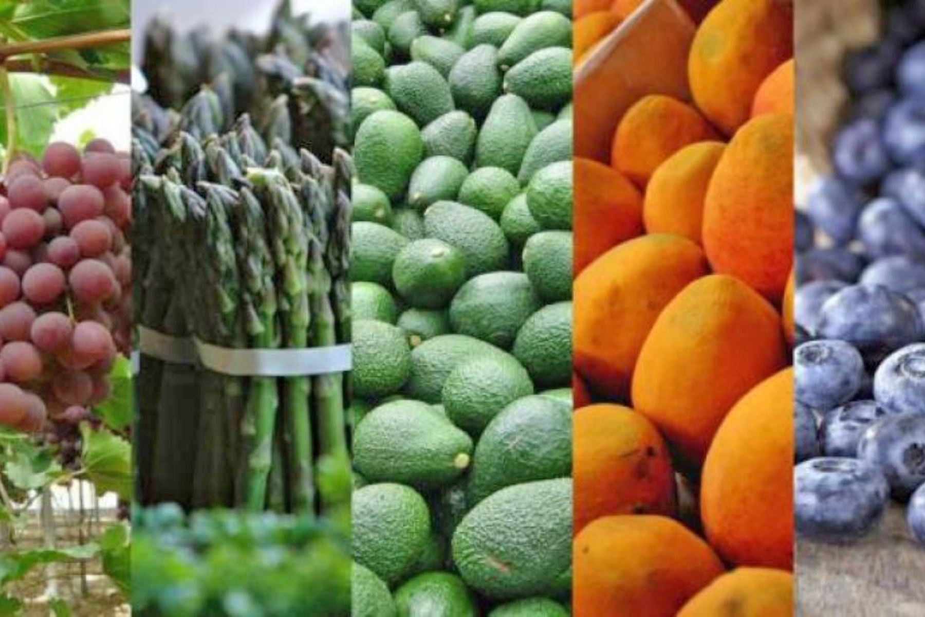 Peru: Agricultural exports expected to exceed US$11 billion in 2023