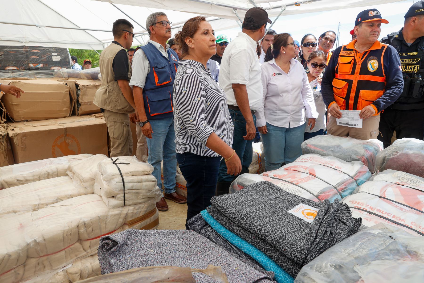 Peru: President Boluarte initiates emergency response to heavy rains
