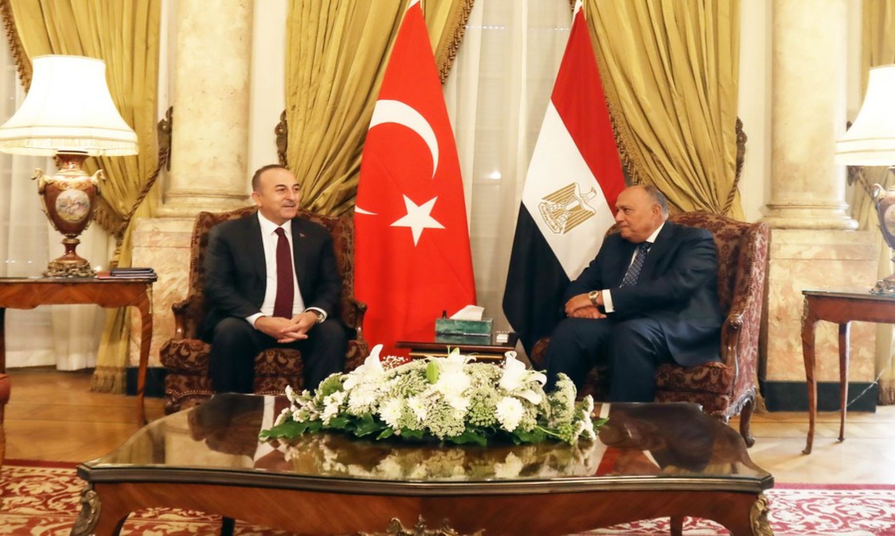 Egypt, Türkiye Have Political Will To Restore Ties: Egyptian FM