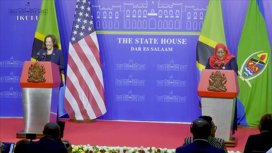 US VP hails Tanzania leader as ‘champion’ of democracy