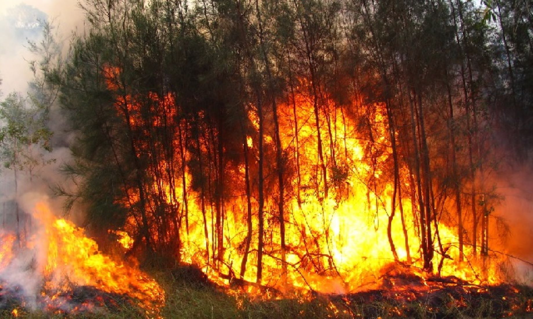 Scorching Heat, Fire Risks Persist In Aussie State