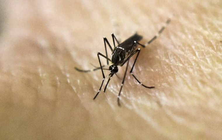 Chikungunya: 43 deaths and 11,467 cases confirmed in Paraguay