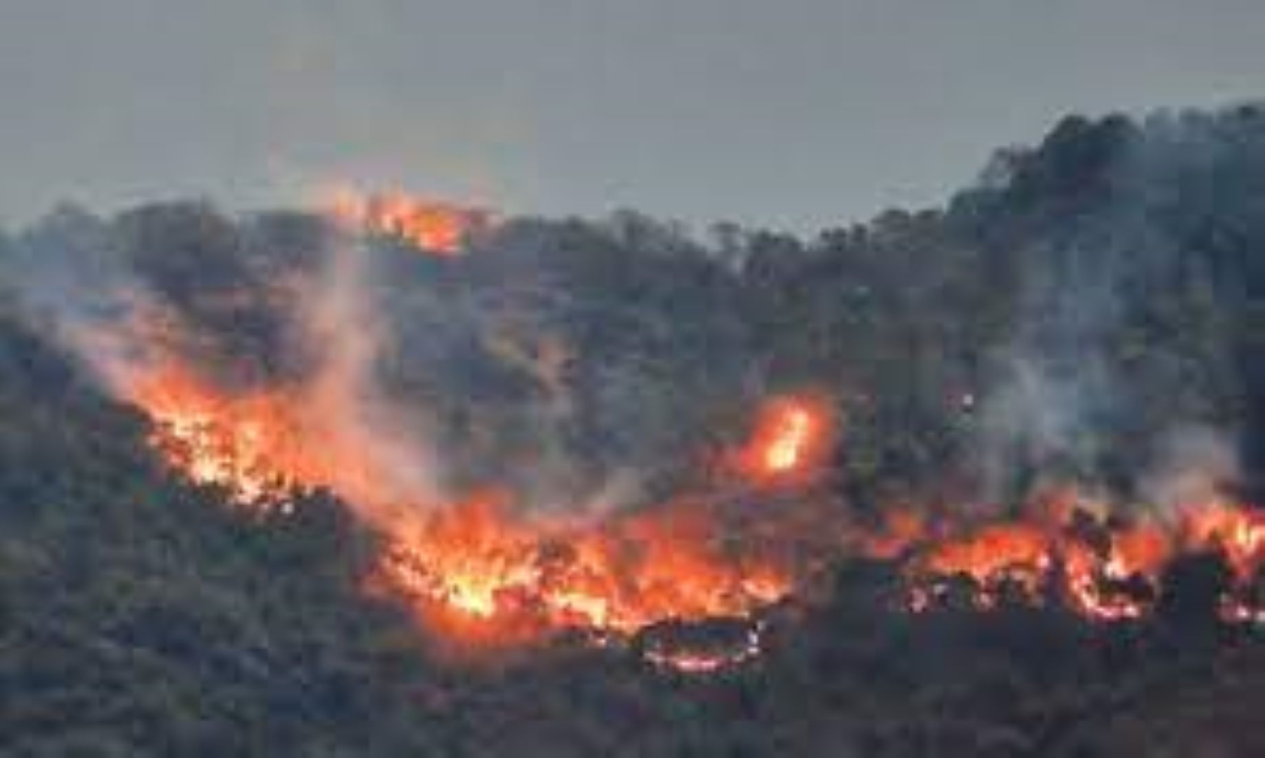 Control Room Set Up In India’s Goa To Contain Forest Fires