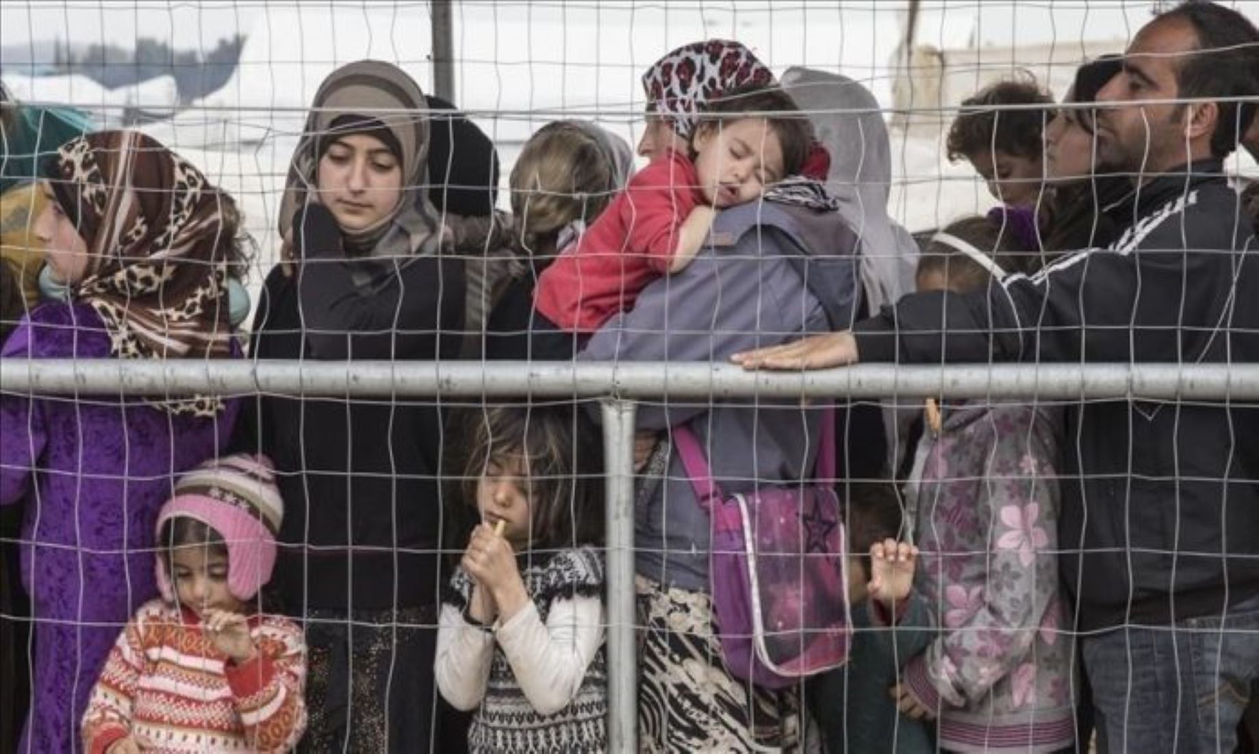 Nearly 60,000 Syrian Refugees In Türkiye Returned Home After Quake