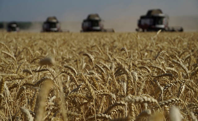 Russia says ‘no progress’ towards extending grain deal
